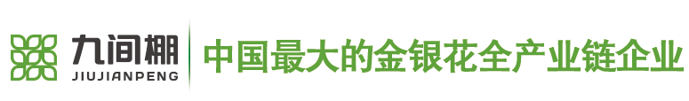 金銀花苗木，金銀花小苗，北花一號金銀花種苗--金銀花種苗廠家平邑縣九間棚農業科技園有限公司